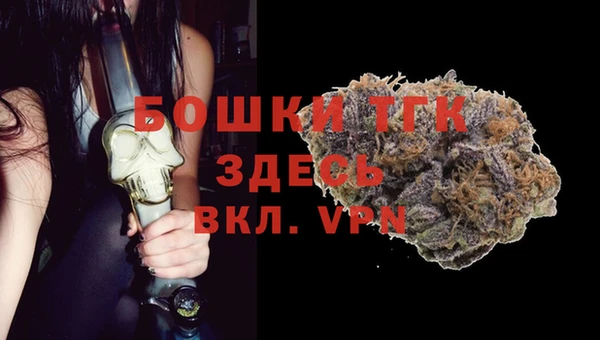 гашик Нефтекумск