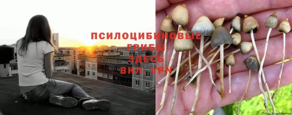 дистиллят марихуана Новозыбков
