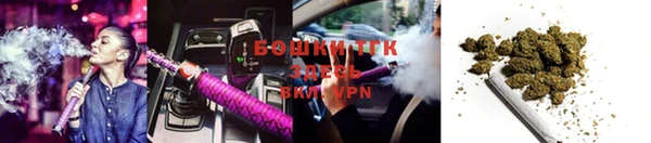 гашик Нефтекумск