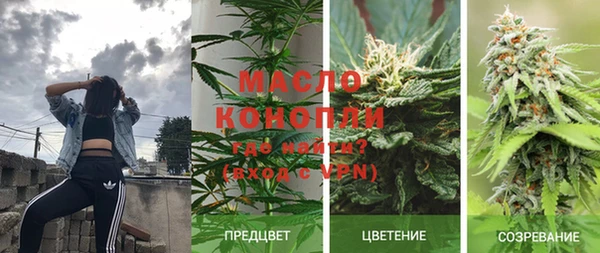 гашик Нефтекумск