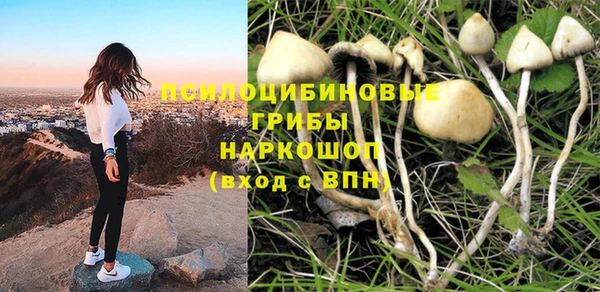 PSILOCYBIN Заволжск