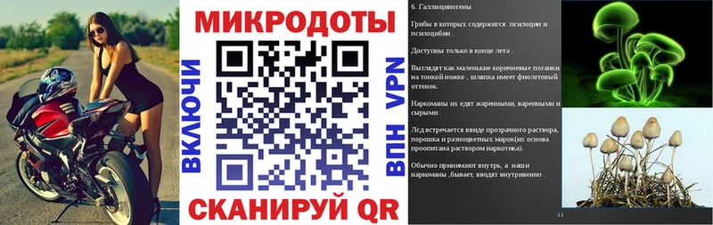 Псилоцибиновые грибы мицелий  Неман 
